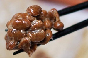 Natto Moto Japanese Starter Raprima 4 bags Natto Moto Japanese Starter Raprima 4 bags